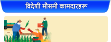 विदेशी मौसमी कामदारहरू